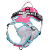 (Rose Pink, XS) Nonslip Dog Nylon Chest Harness With Reflective And Breathable Design Secure For