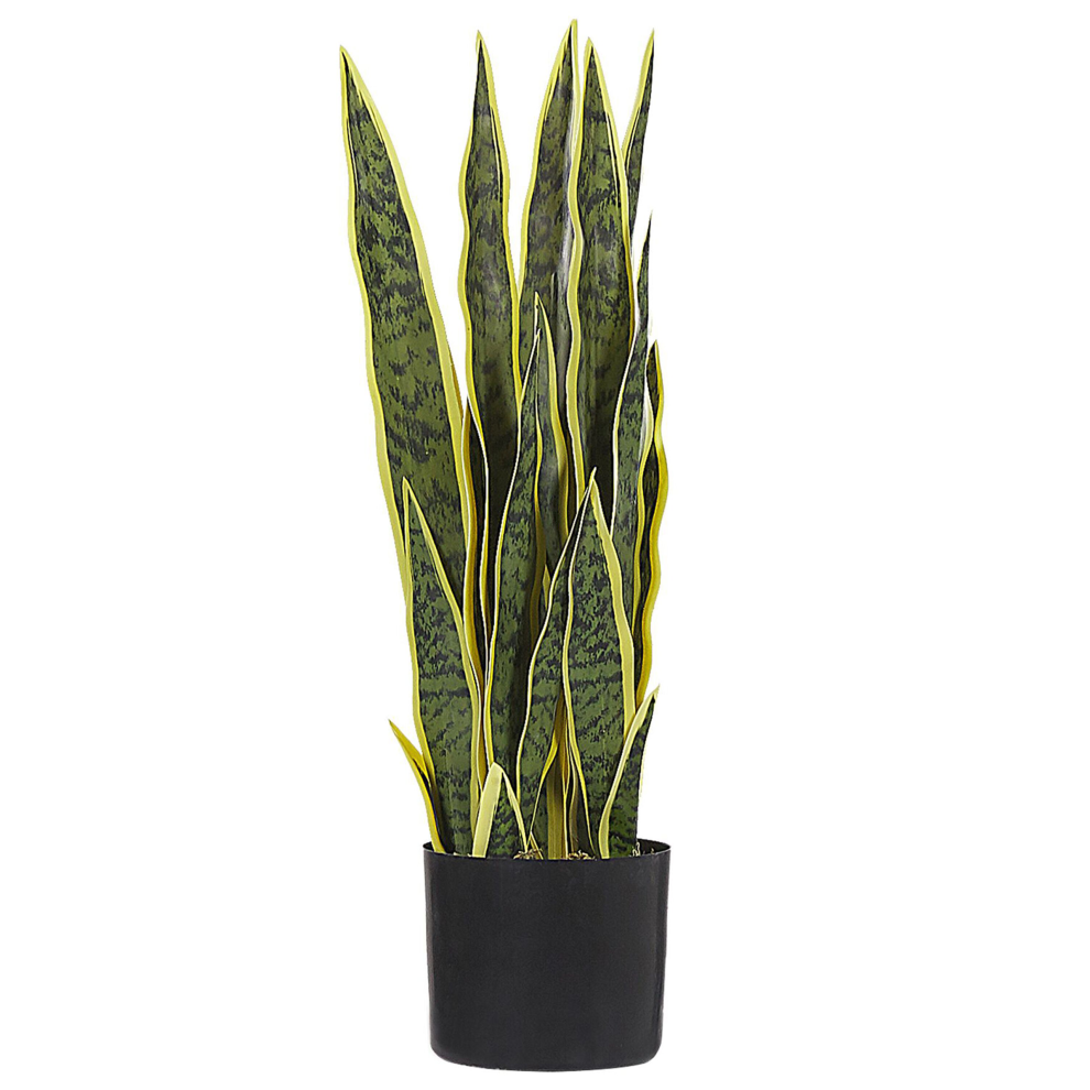 Beliani Snake Plant 63 Cm