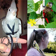 Training Flying Traction Rope Anti-Bite Training Rope Bird Flying Rope Harness Bird Harness Leash A