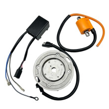 For RM80 1996-2001 for RM85 2002-2017 RM85L 2003-2020 Motorcycle Ignition Coil Rotor Stator Magneto CDI Box Set