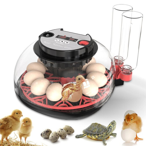 Flashlight for Automatic 12H Chicken Quail Egg Incubator Temperature and Humidity Display Automatic Egg Turning EU Plug 2