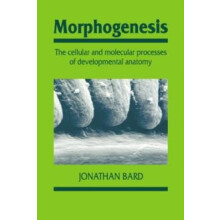 Morphogenesis The Cellular and Molecular Processes of Developmental An