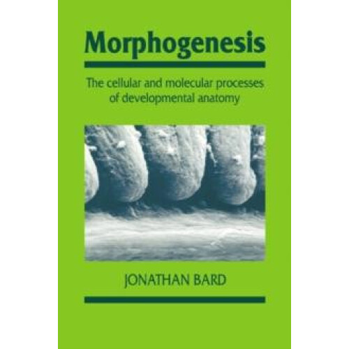 Morphogenesis The Cellular and Molecular Processes of Developmental An