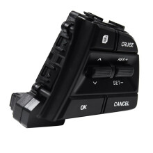 Autostuurwiel Rechterkant Cruise Control-Knoppen voor 2015-2020 Auto-Accessoires 96720F2040
