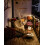 Universe Black Bioethanol Fireplace 5