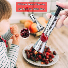 Portable  Pitter Remover Tool 304 Stainless Steel Kitchen Tool Silver Fruit Pit Remover for  Jam Press Type