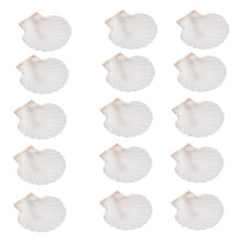 15 PièCes de Coquillages Naturels de Taille, Blancs, 4 à 4,7 Pouces, pour les Travaux Manuels, le Service de la Nourriture, la Pâtisserie et