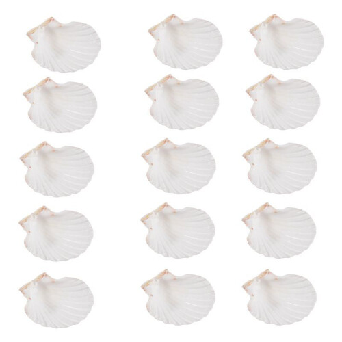 15 PeçAs Natural Sea Shell  Branco, Conchas de Vieira de 4-4,7 Polegadas para Artesanato DIY, Servir Comida, Assar e Mais
