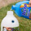 Westland Resolva Xtra Fast Weedkiller Concentrate 1L Systemic Weed Killer 2