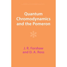 Quantum Chromodynamics and the Pomeron by J. R. Forshaw Paperback Book