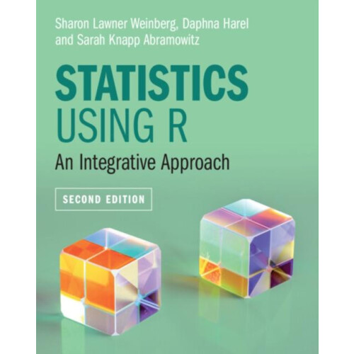 Statistics Using R by Sharon Lawner Weinberg Paperback Book