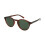 Polaroid Unisex Glasses Polaroid Pld1013S807 1