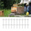100Pcs Duck Beak Type Bee Feeding Water Feeder Beekeeper Equip Garden Tool Bee Water Feeder Bee Keeping Tools 4