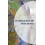 American Dream and Dreams Deferred A Dialectical Fairy Tale by Carlton 1