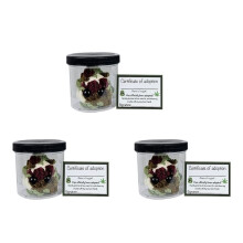 3X Adopt A Weed Plüschtier, Jar Lustiges Plüsch Schreibtischzubehör B