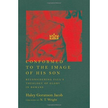 Conformed to the Image of His Son Reconsidering Pauls Theology of Glor