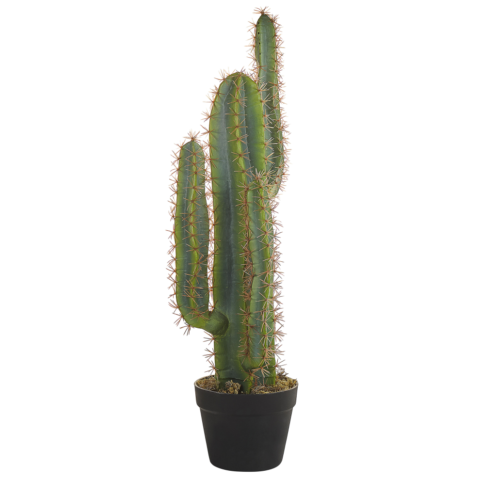 Beliani Cactus 78 Cm