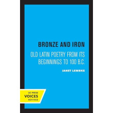 Bronze and Iron by Janet Lembke Paperback Book