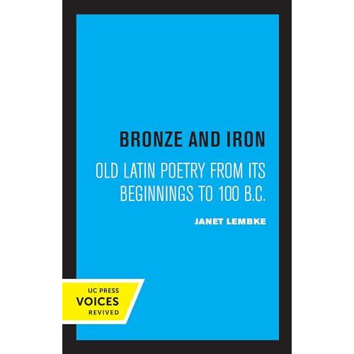 Bronze and Iron by Janet Lembke Paperback Book