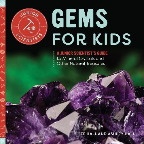 Gems for Kids by Lee Hall Paperback Book