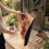 Coir Doormat, 60x40 cm, Dirt-Trapping, Decorative Design 5