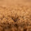 Coir Doormat, 60x40 cm, Decorative Design 7