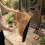 Coir Welcome Doormat, Non-Slip, 60x40 cm 5
