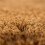 Welcome Coir Doormat, Non-Slip, 60x40 cm 7