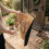 Welcome Coir Doormat, Non-Slip, 60x40 cm 5