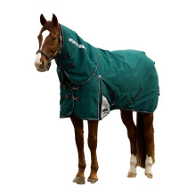 (6' 5", Forest Green/Navy) Weatherbeeta Comfitec Plus Dynamic Detachable Neck 220g Horse Turnout Rug