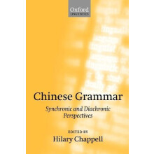 Chinese Grammar Synchronic and Diachronic Perspectives Paperback Book