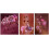 MINC11006 - Miniart Crafts - Pink Orchids Triptych Bead Embroidery Kit 1