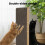 Skylos 68cm High L Shaped Cat Scratching Board 3