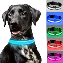 Collier lumineux LED pour chien, rechargeable par USB, étanche et réglable, ultra-lumineux et sécurisé.