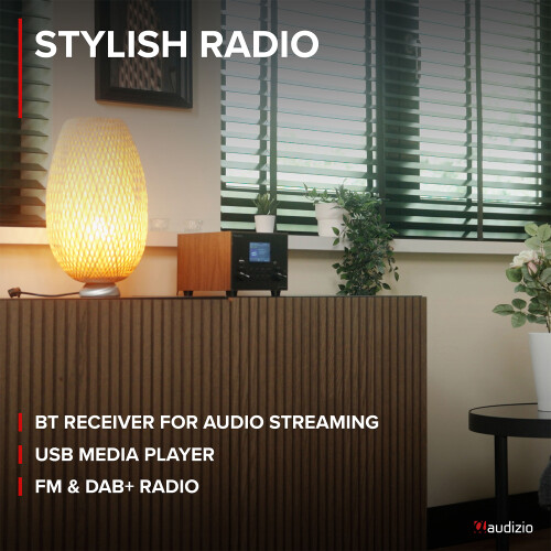 Vieste DAB+ Digital Radio Home Speaker System with Subwoofer, Bluetooth, USB 1