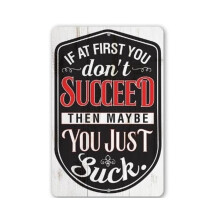 Placa de metal resistente de 20x30cm - Decoração divertida e motivacional para escritório, ideal para uso interno e externo. Não é impressa em