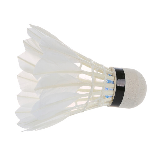 12 White Feather Shuttlecocks Birdies Badminton Training