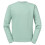 Russell (XL, Eucalyptus) Russell Mens Authentic Plain Sweatshirt 1