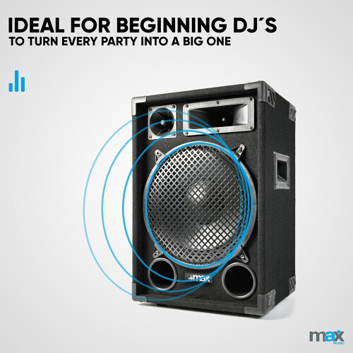 MAX SP12 12" Passive Speaker Box 700W for Home DJ Disco Karaoke 2
