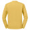 Russell (L, Mustard) Russell Mens Authentic Plain Sweatshirt 2