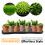 Multi Purpose Plastic Shoe Tray 9