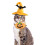 Αστεία είδη για κατοικίδια για το Halloween Σετ αξεσουάρ για κατοικίδια Καπέλο 4