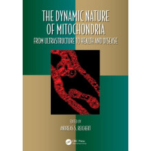 The Dynamic Nature of Mitochondria from Ultrastructure to Health and D