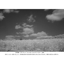 (67 mm) Kenko Pro1 Digital Multi Coated R72 Camera Lens Filter for Infrared Photography