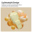for  Pocket 4 Protective Cover Gimbal Lens Screen Protective Case Candy Color Case Camera Accessory 10