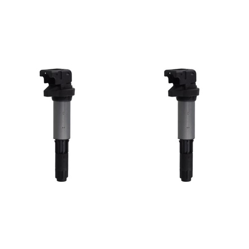 2X Zündspule für  E46 E53 E60 E70 E71 E90 323I 325I 535I X3 12131712219
