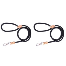 Lot de 2 laisses Adventure Pets Supplies en nylon résistant pour l'entraînement des chiens