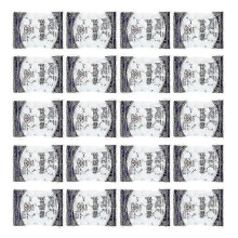 (20 Packs) 20 Packs Household Mothballs Mildew-proof Pills Insect Repellent Balls For Drawers Storage Boxes Closets