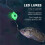 5 Esche da Pesca Subacquee A LED Illuminate 8
