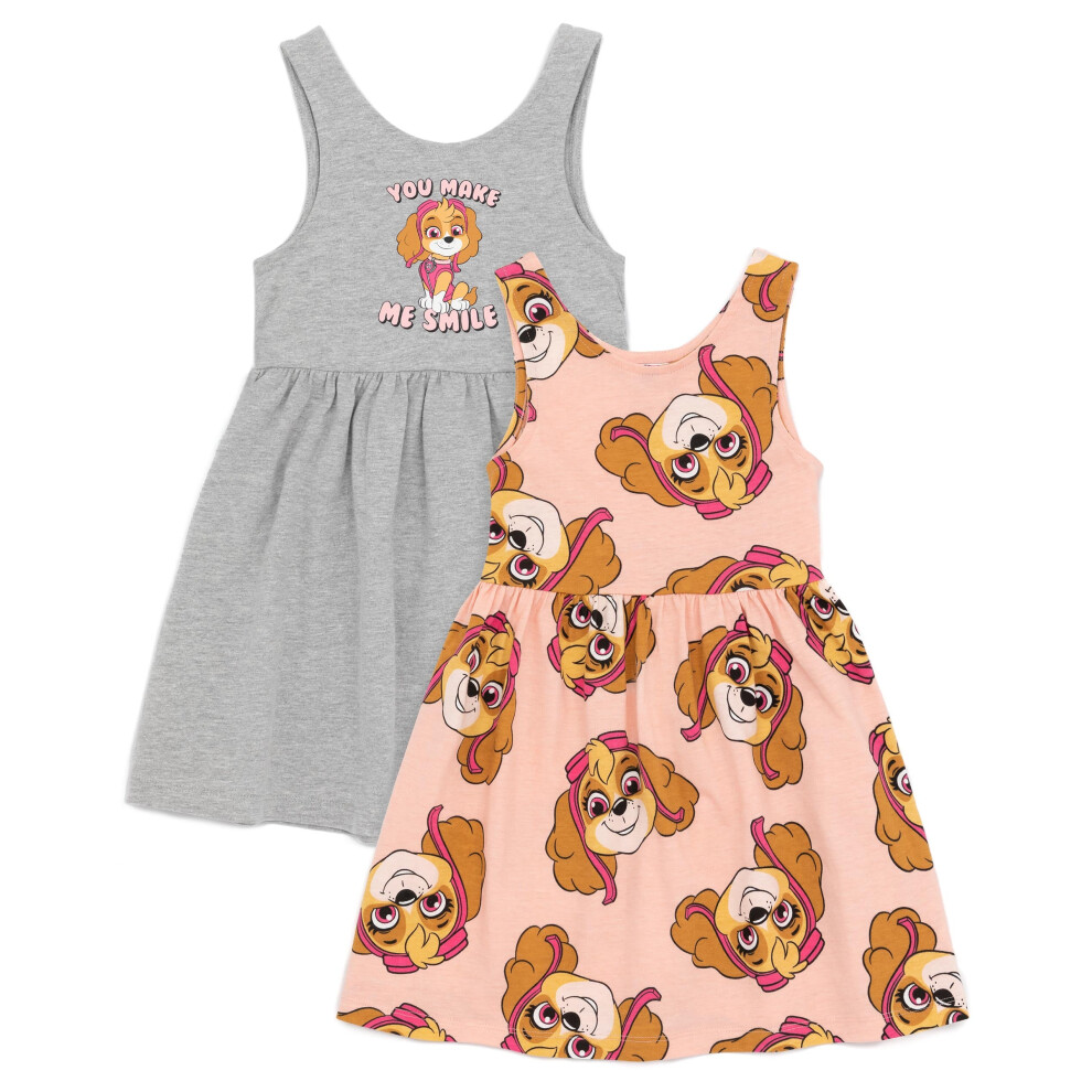 Paw Patrol (6-7 Years) Sleeveless Skater Dress (Girls Grey)